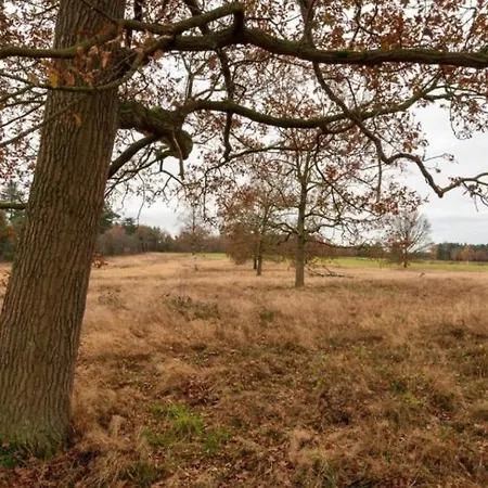Boshuis De Roerdomp Hattemerbroek Exterior photo
