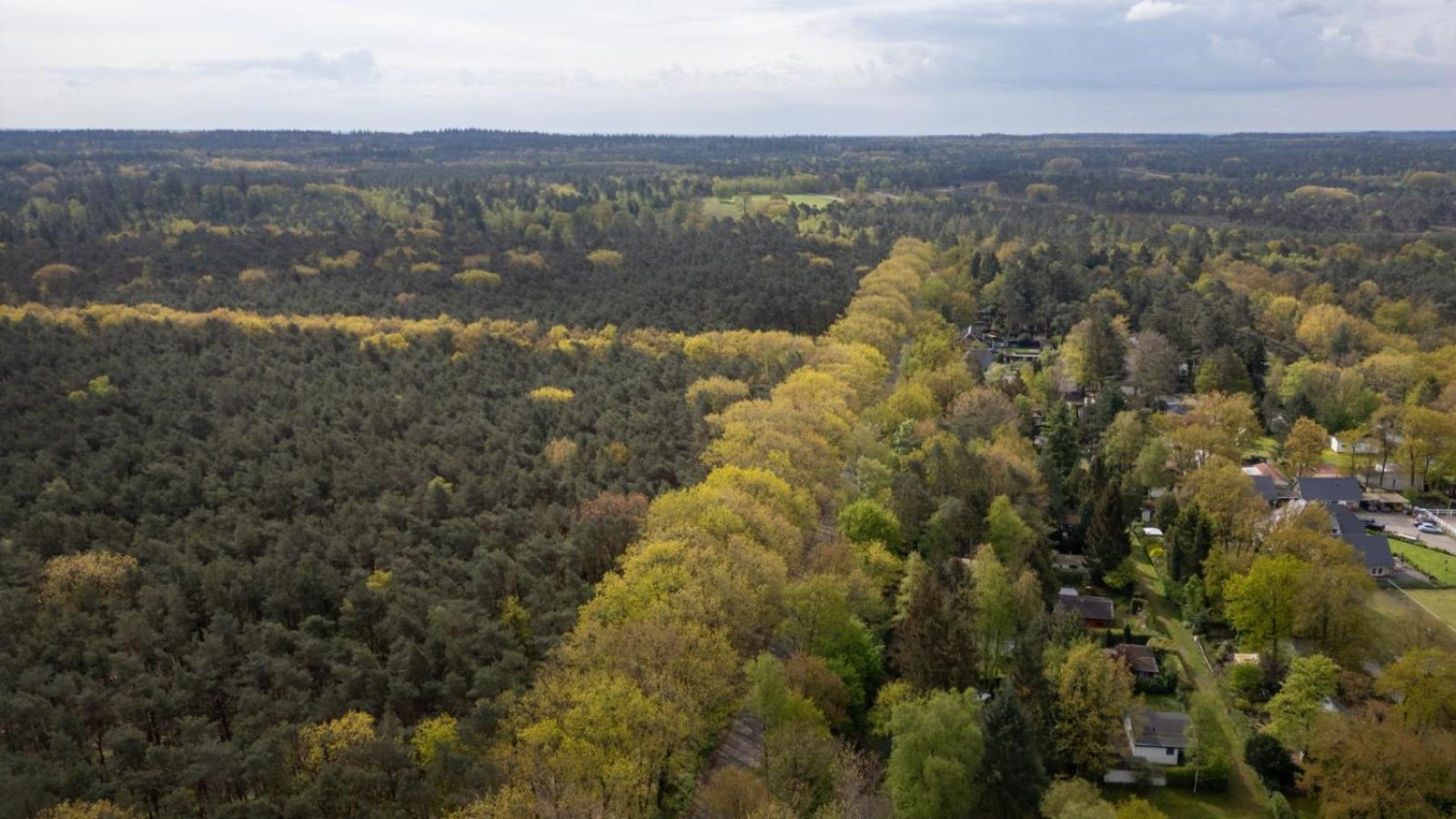 Boshuis De Roerdomp